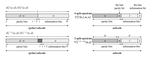 Performance and Construction of Polar Codes The Perspective of Bit Error Probability